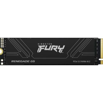 Kingston FURY RENEGADE G5 4TB - SSD