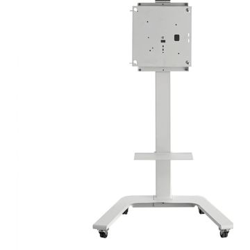 Dis Public Mount HAGOR ST SA Flip II 55"