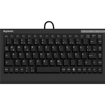 Keyboard USB RaidSonic ACK-595 C+ DE black