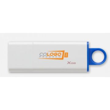 Kingston DataTraveler G4 - USB-flashstation