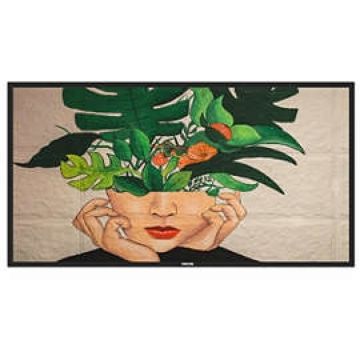 Philips 43BDL4511D - 43" diagonale klasse (42.5" zichtbaar)