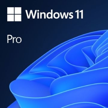 Windows 11 Pro | Engels - Licentie