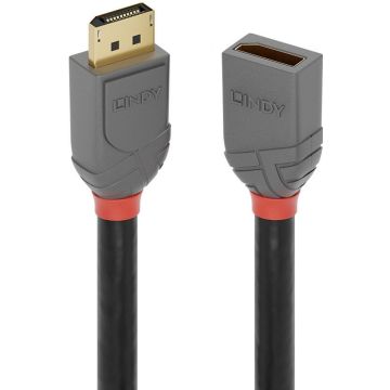 Lindy DisplayPort 1.4 Verlängerungskabel 0,5m, Anthra Line