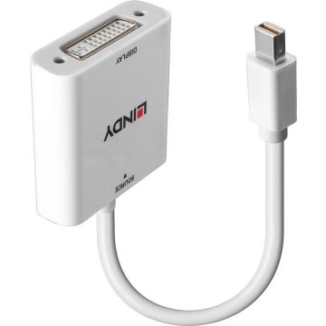 Lindy Mini DisplayPort auf DVI Converter