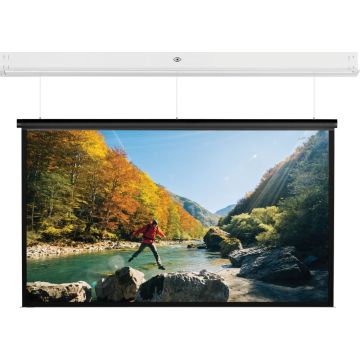Projecta DescenderPro SightLine 219x350 Matte White