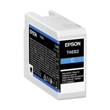 Epson T46S2 - 25 ml
