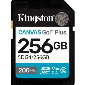 Kingston Canvas Go! Plus 256GB - Flashgeheugenkaart