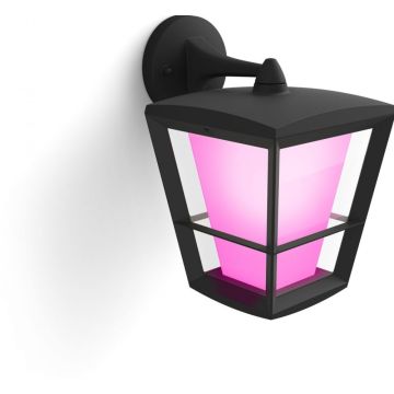 Hue Outdoor Econic Down Wall lamp