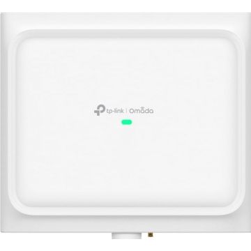 TP-Link Omada EAP650 D30-Outdoor V1 - Draadloze-toegangspunt
