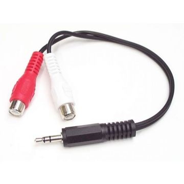 StarTech.com 15 cm stereoaudiokabel - 3,5 mm mannelijk naar 2x RCA vrouwelijk