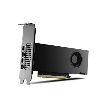 NVIDIA RTX 2000 Ada Generation - Videokaart