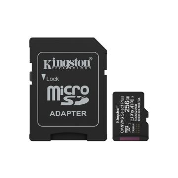 Kingston Canvas Select Plus Gen 3 256 GB met adapter - Flashgeheugenkaart