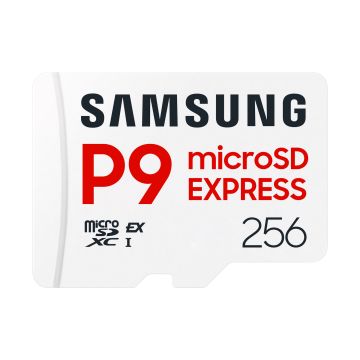 Samsung P9 Express 256GB - Flashgeheugenkaart