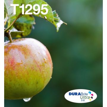 Epson Multipack T129 EasyMail - 4