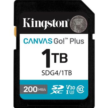 Kingston Canvas Go! Plus 1TB - Flashgeheugenkaart