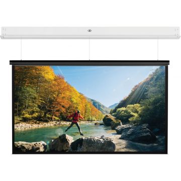Projecta Screen Surface Assembly DescenderPro SightLine 244x390 Matte White