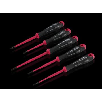 Rittal schroevendraaier Set isoliert SL 3x0,5_4x0,8_5,5x1/PZ