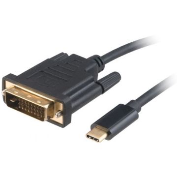 Akasa Typ C Adapter Kabel auf DVI - schwarz