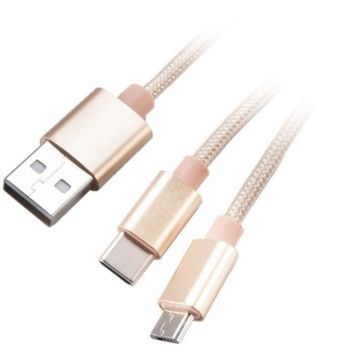 Akasa 2 in 1 USB 2.0 Kabel Typ A zu Micro-B und Typ C - 1m, gold