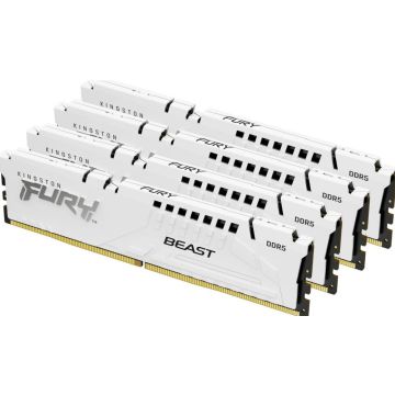 Kingston FURY Beast White - Geheugen