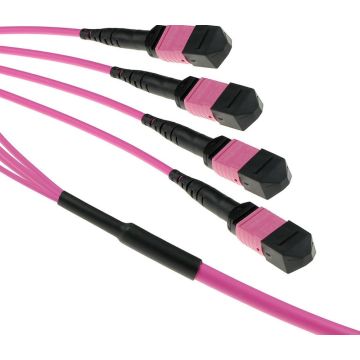 7M 4X MTP(F) 50/125 OM4 PB TR. 1 stk