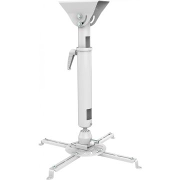 DH Beamer Sunne weiß universal 60- 90cm