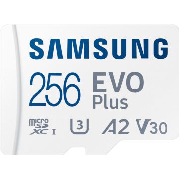 Samsung EVO Plus 256GB - Flashgeheugenkaart