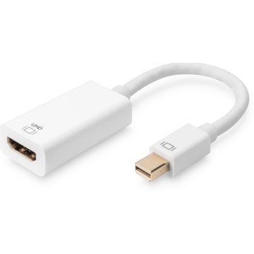 ASSMANN - Videoadapter