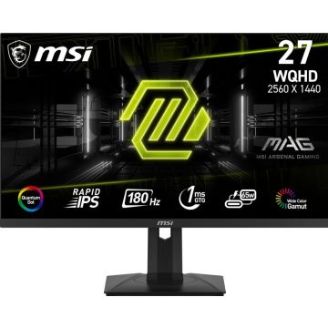 27" / 2560x1440 / Flat / 400cd/m2 / 1ms