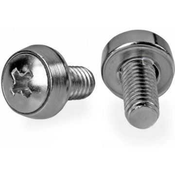 StarTech.com M6 x 12mm schroeven - 100 stuks pak