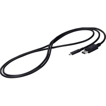 Eizo CP200 - Adapterkabel