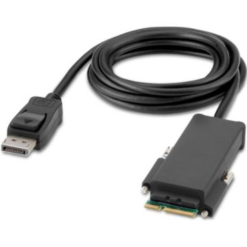 Belkin Secure Modular DP Single Head Console Cable - DisplayPort kabel