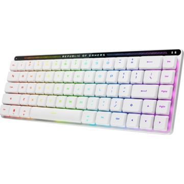 Keyboard Asus ROG FALCHION RX LP RL/RD