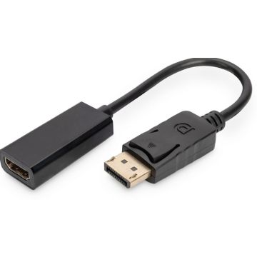 ASSMANN DisplayPort Adapter - Videoadapter