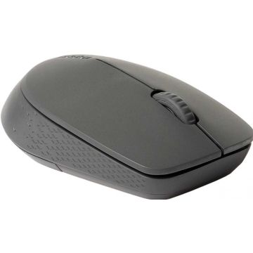 Rapoo Silent Mousegy
