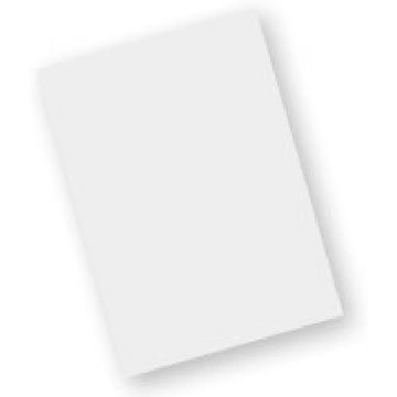 Zebra - Schermbeveiliging voor handheld