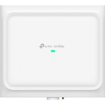 TP-Link Omada EAP650 D120-Outdoor V1 - Draadloze-toegangspunt