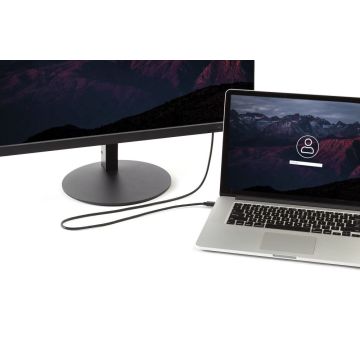 StarTech.com MDP2DPMM10 - DisplayPort kabel