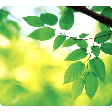 Fellowes Recycled Mouse Pad Leaves - Muismat