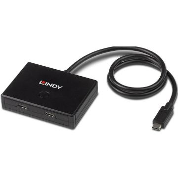Lindy 2 Port USB 3.2 Gen 1 Type C Switch - bidirektional