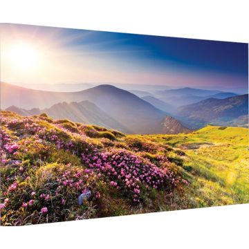 Mat Wit 16:10 Fixed Frame