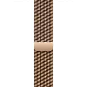 Apple - Lus voor smart watch
