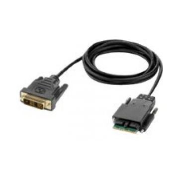 Belkin Secure Modular DVI Single Head Console Cable - Videokabel
