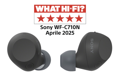 SONY Sony WFC710NB.CE7 True Wireless Earbuds - Zwart