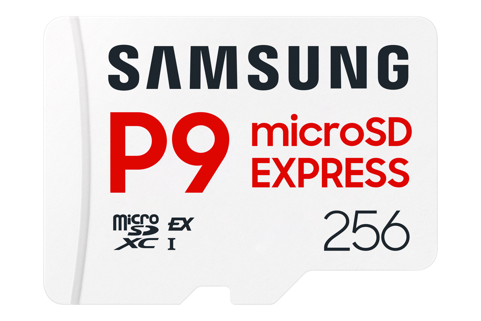 SAMSUNG Samsung P9 Express 256GB - Flashgeheugenkaart