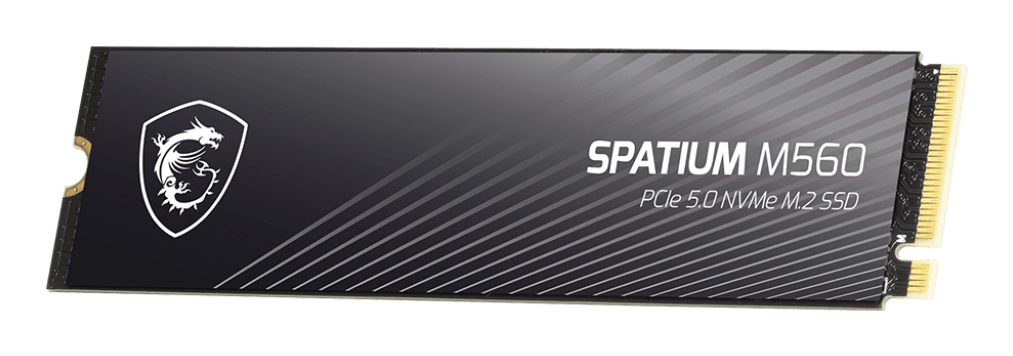 MSI Spatium M560 1TB - SSD