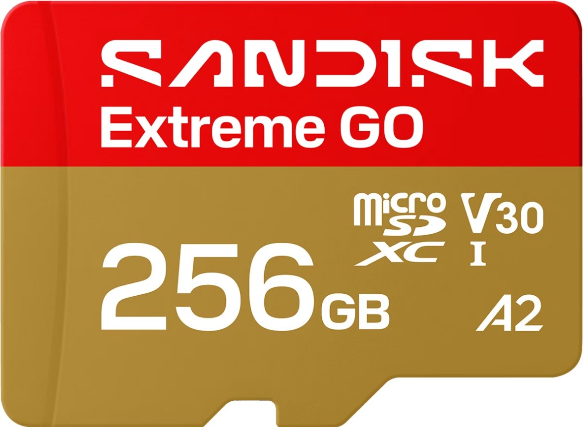SANDISK SanDisk Extreme GO microSDHC 256GB - Flashgeheugenkaart