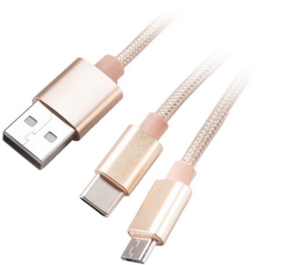 Akasa 2 in 1 USB 2.0 Kabel Typ A zu Micro-B und Typ C - 1m, gold