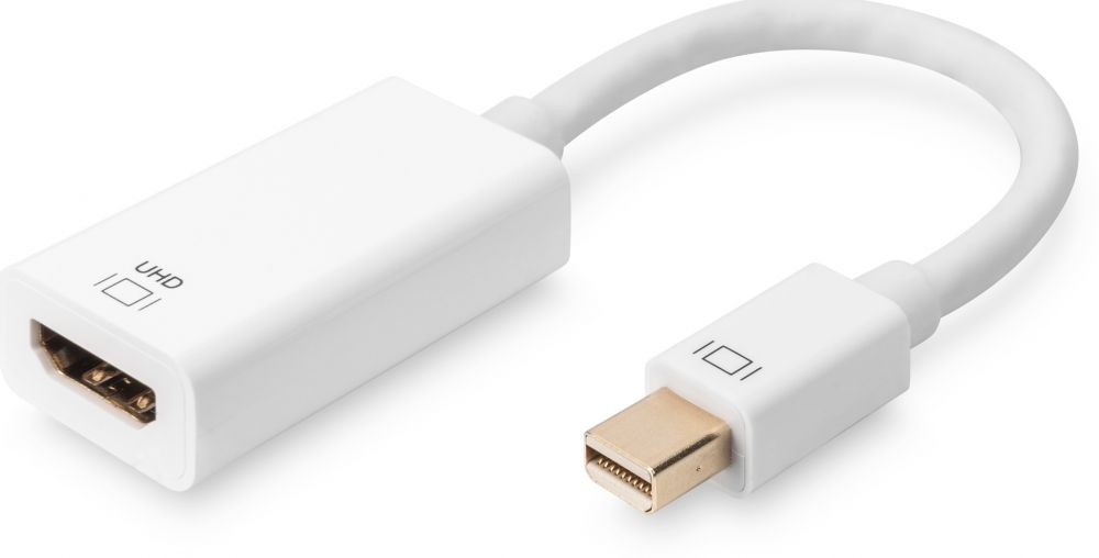 ASSMANN - Videoadapter