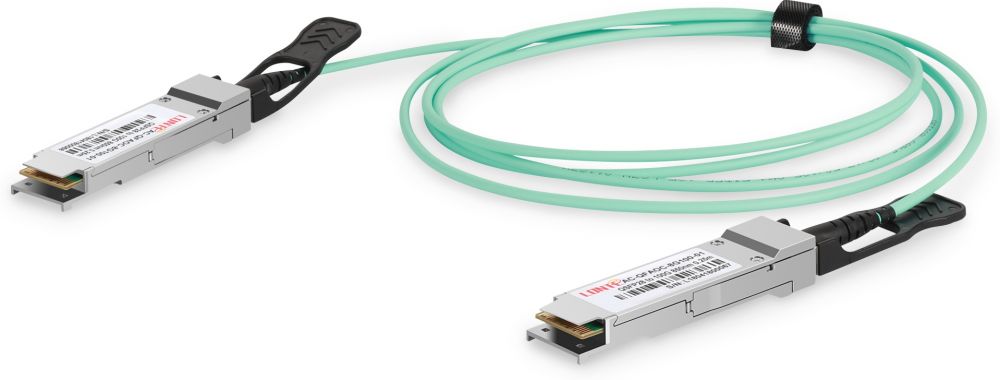 DIGITUS - 100GBase rechtstreekse aansluitkabel